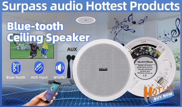 Blue-tooth Ceiling Speaker