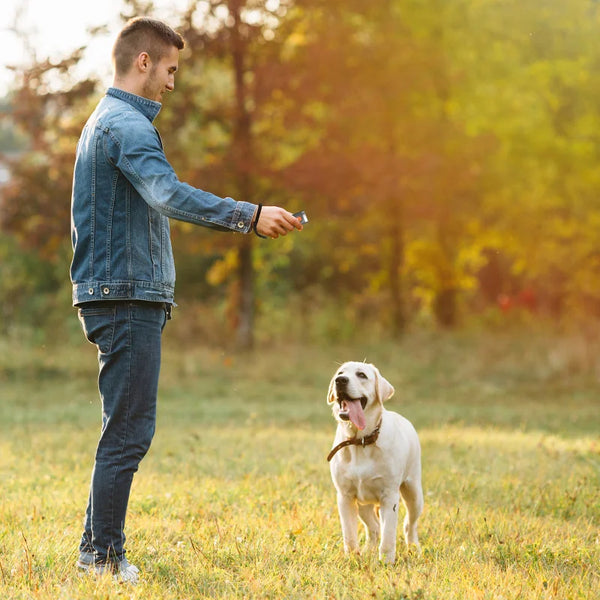 Powerful Ultrasonic anti bite Animal Repeller