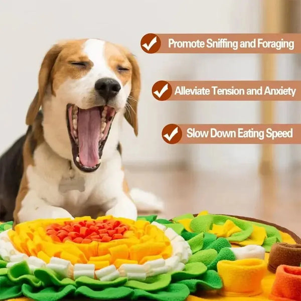 Dog & Cat Sniffing Playing Boredom Busters & Treat Dispenser