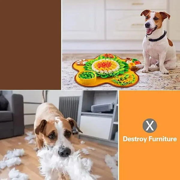 Dog & Cat Sniffing Playing Boredom Busters & Treat Dispenser