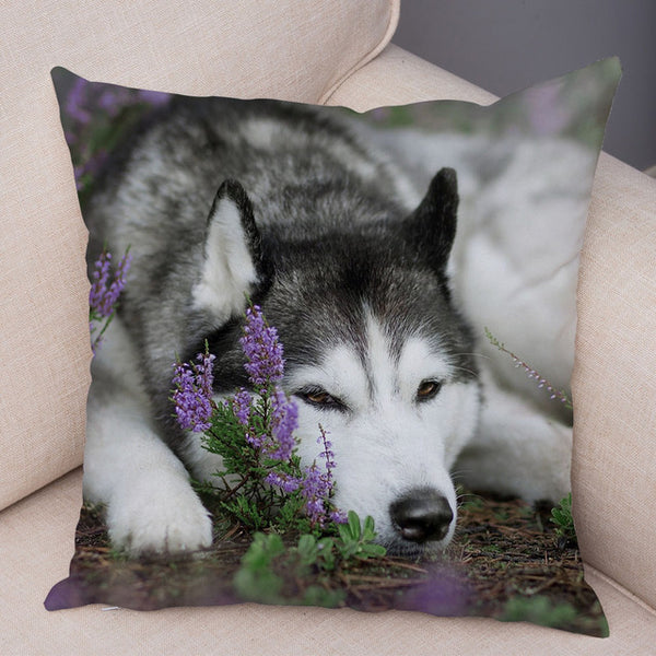 Siberian Husky Pillow Covers Super Soft 45*45cm