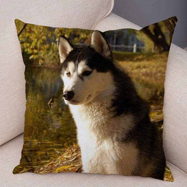 Siberian Husky Pillow Covers Super Soft 45*45cm