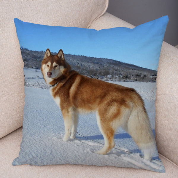Siberian Husky Pillow Covers Super Soft 45*45cm