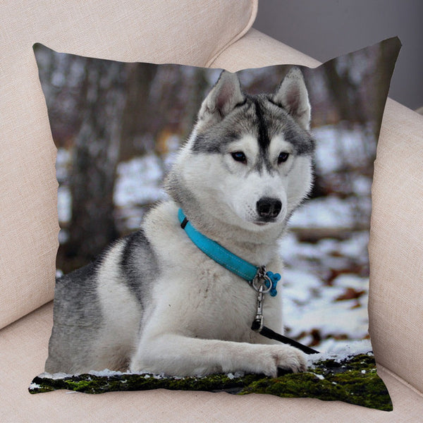 Siberian Husky Pillow Covers Super Soft 45*45cm