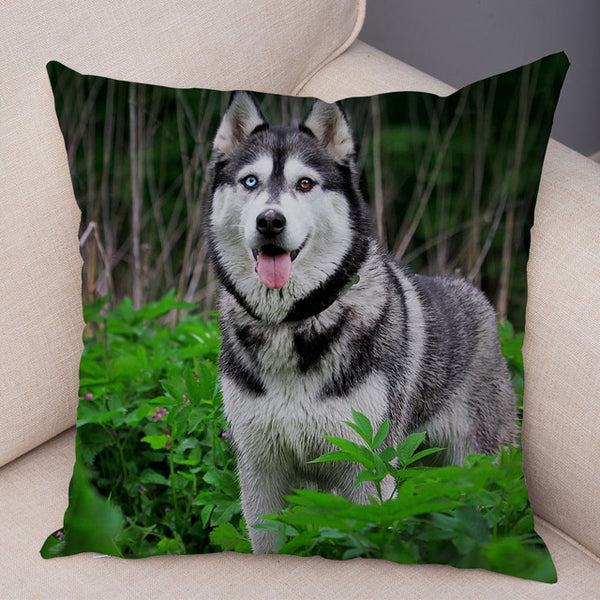 Siberian Husky Pillow Covers Super Soft 45*45cm