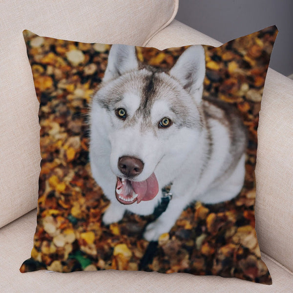 Siberian Husky Pillow Covers Super Soft 45*45cm