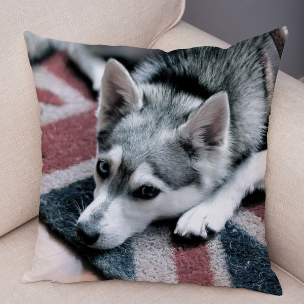 Siberian Husky Pillow Covers Super Soft 45*45cm