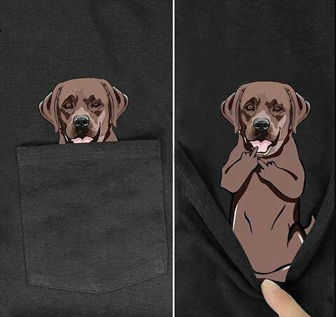 Funny 3D Animal in Pocket T-shirts