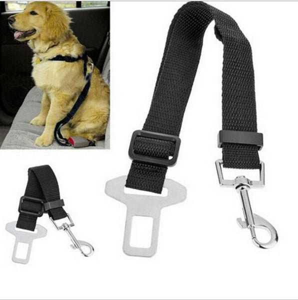 Pet Car Safety Seat Belt