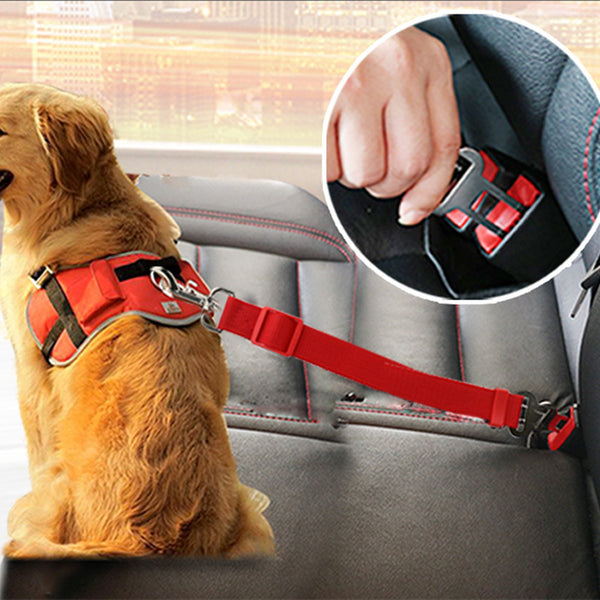 Pet Car Safety Seat Belt