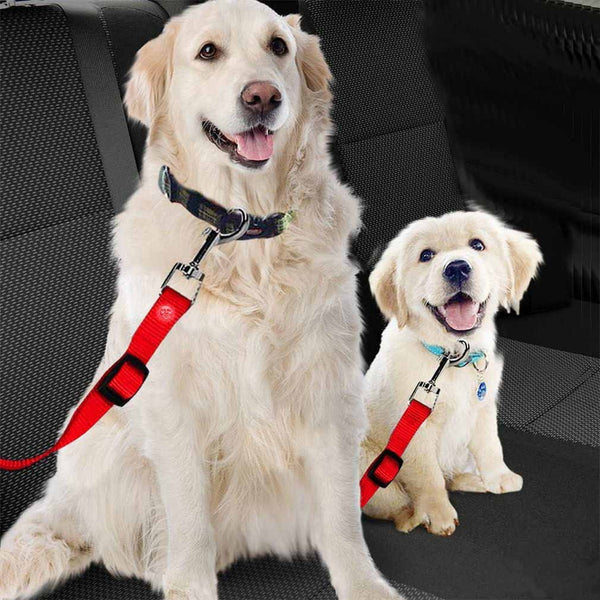 Pet Car Safety Seat Belt