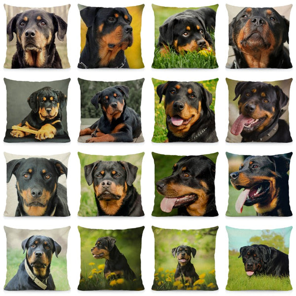 Rottweiler Dog Cushion Cover 45x45cm
