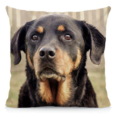 Rottweiler Dog Cushion Cover 45x45cm