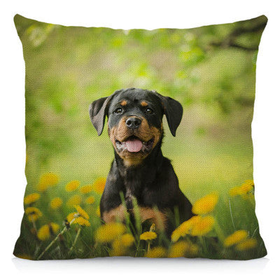 Rottweiler Dog Cushion Cover 45x45cm
